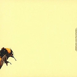 Tyler, The Creator - Scum Fuck Flower Boy CD