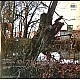 Black Sabbath - Black Sabbath Plak LP