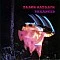 Black Sabbath - Paranoid Plak LP