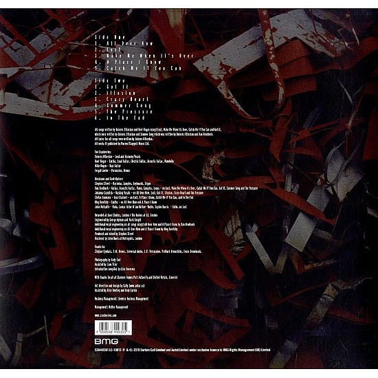 The Cranberries - In The End Plak LP