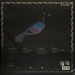 Düş Sokağı Sakinleri - En Güzel Düşler Plak 2 LP