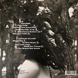 Göksel - Mektubumu Buldun Mu? Plak LP
