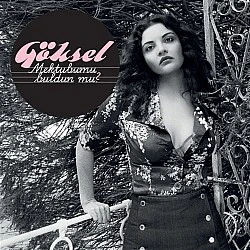 Göksel - Mektubumu Buldun Mu? Plak LP