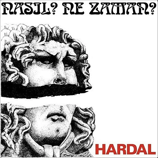 Hardal - Nasıl? Ne Zaman? Plak LP