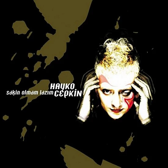 Hayko Cepkin ‎– Sakin Olmam Lazım Plak LP
