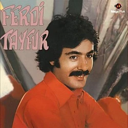 Ferdi Tayfur - Postacılar Gri Renkli Plak LP