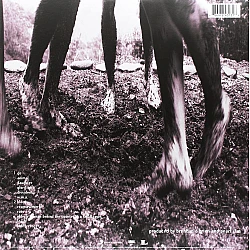 Pearl Jam - Vs. Plak LP