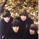 The Beatles – Beatles For Sale Plak LP