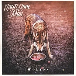 Rag'n'Bone Man - Wolves LP