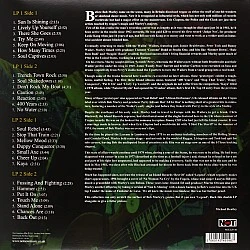 Bob Marley And The Wailers - A Legend Reggae Classics (Sarı Renkli) Plak 2 LP