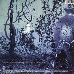Enya - Shepherd Moons Plak LP