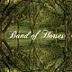 Band Of Horses - Everything All The Time Plak LP