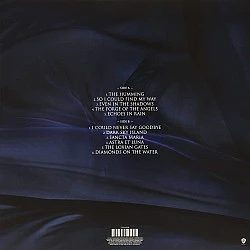 Enya – Dark Sky Island Plak LP