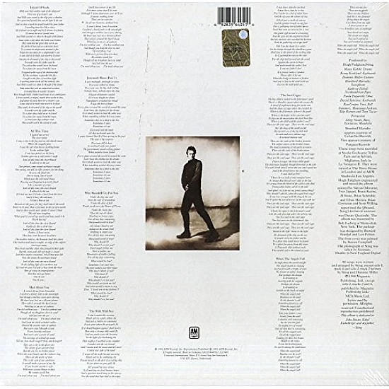 Sting - The Soul Cages Plak LP