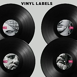 Vangelis - Juno To Jupiter Plak 2 LP
