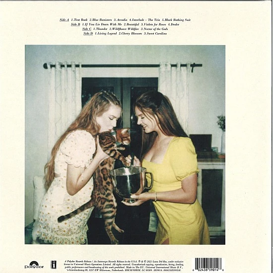 Lana Del Rey - Blue Banisters Plak 2 LP