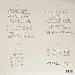 Kendrick Lamar - To Pimp A Butterfly Plak 2 LP