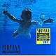 Nirvana ‎– Nevermind 30th Anniversary Plak LP + 45lik