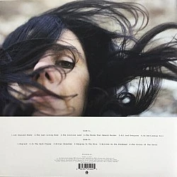 PJ Harvey - Let England Shake Plak LP
