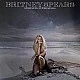Britney Spears - Swimming In The Stars  Plak Maxi Single* ÖZEL BASIM *