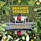 Brandee Younger - Somewhere Different Plak LP