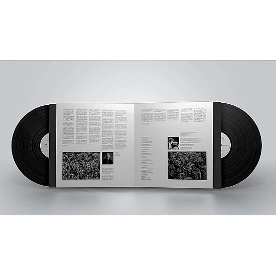 Jean-Michel Jarre - Amazonia Plak 2 LP