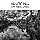 Jean-Michel Jarre - Amazonia Plak 2 LP