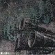 Finntroll - Vredesvavd Plak LP