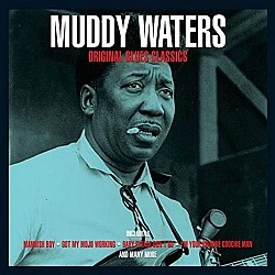 Muddy Waters - Original Blues Classics Plak LP