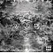 The Neighbourhood - I Love You. CD