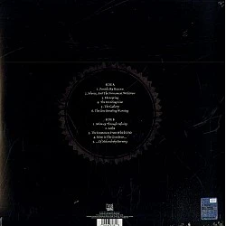 Dark Tranquillity - The Gallery Plak LP