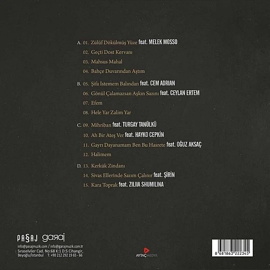 Haluk Levent - Vasiyet Plak 2 LP