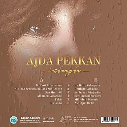Ajda Pekkan - Unutulmayanlar Plak LP