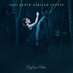 Ceylan Ertem - Seni Senin Gibiler Sevsin Digipak CD