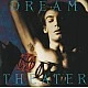 Dream Theater - When Dream And Day Unite CD