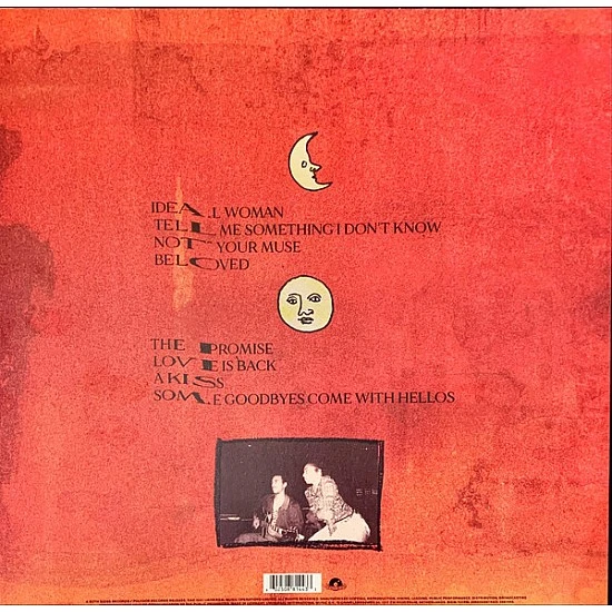 Celeste - Not Your Muse Plak LP