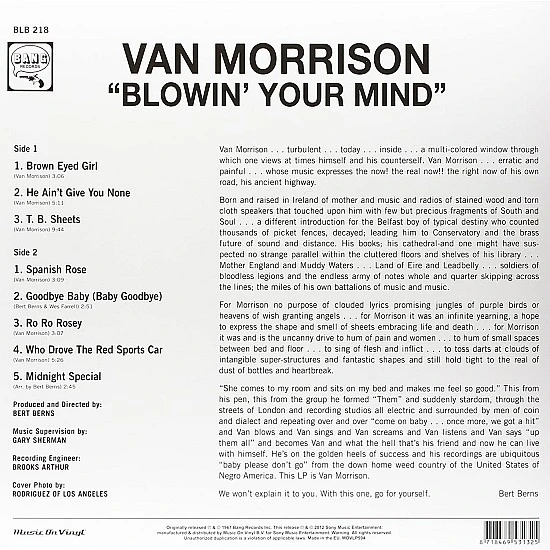 Van Morrison - Blowin' Your Mind! Plak LP