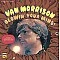 Van Morrison - Blowin' Your Mind! Plak LP