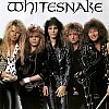 Whitesnake