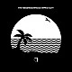 The Neighbourhood - Wiped Out! Plak 2 LP