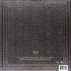 Pearl Jam - Vitalogy Plak 2 LP