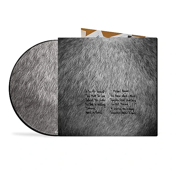 Phil Collins - Face Value (Picture Disc) Plak LP
