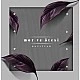 Mor ve Ötesi - Kayıtlar 1996-2004 5 CD Box Set