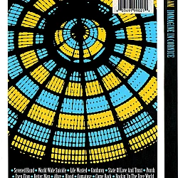 Pearl Jam ‎– Immagine In Cornice DVD