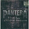 Pantera - 1990-2000: A Decade Of Domination (Siyah Buz Renk, Etched) Plak 2 LP