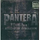 Pantera - 1990-2000: A Decade Of Domination (Siyah Buz Renk, Etched) Plak 2 LP