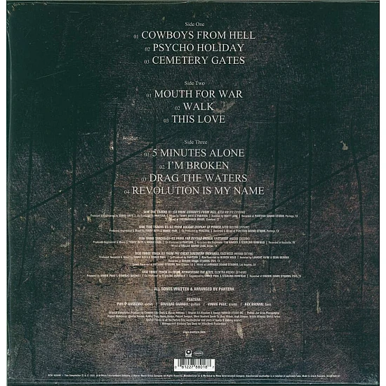 Pantera - 1990-2000: A Decade Of Domination (Siyah Buz Renk, Etched) Plak 2 LP