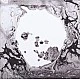 Radiohead - A Moon Shaped Pool Plak 2 LP
