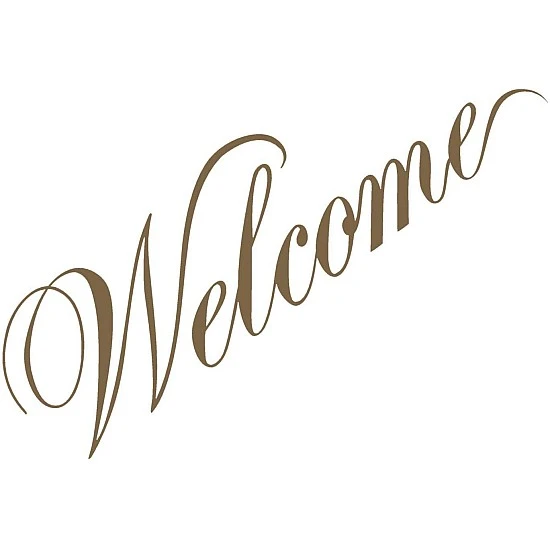 Santana - Welcome Plak LP