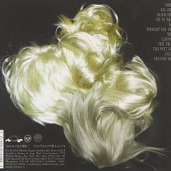 Sia - 1000 Forms Of Fear CD